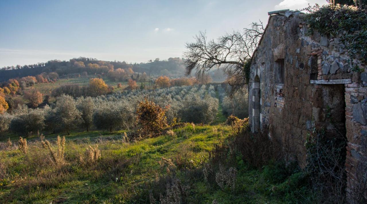 Villa Monteporzano Orvieto Chambre photo